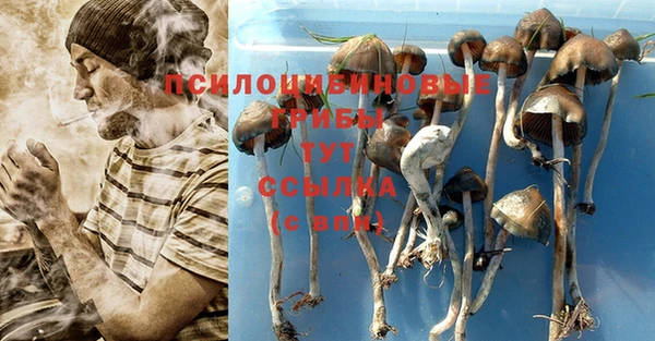 амф Алзамай