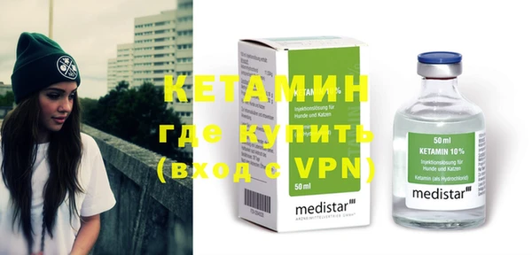 твердый Гатчина