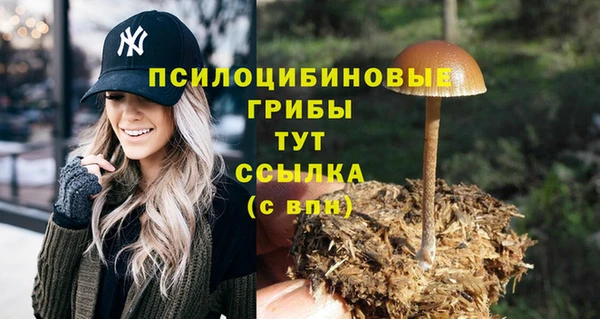 спайс Алексин