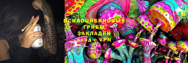 спайс Алексин