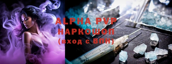 твердый Гатчина